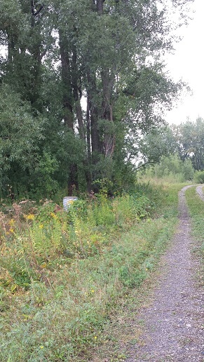 La couleuvre - la cache